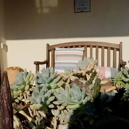 Le Rose Bed & Breakfast