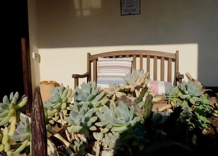 Le Rose Bed & Breakfast