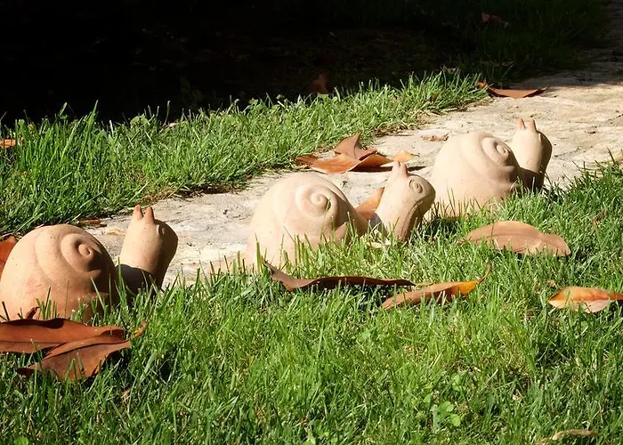 Le Rose Bed & Breakfast Siderno